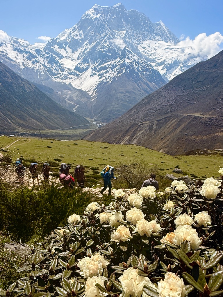 Into the Glacial Sanctuary