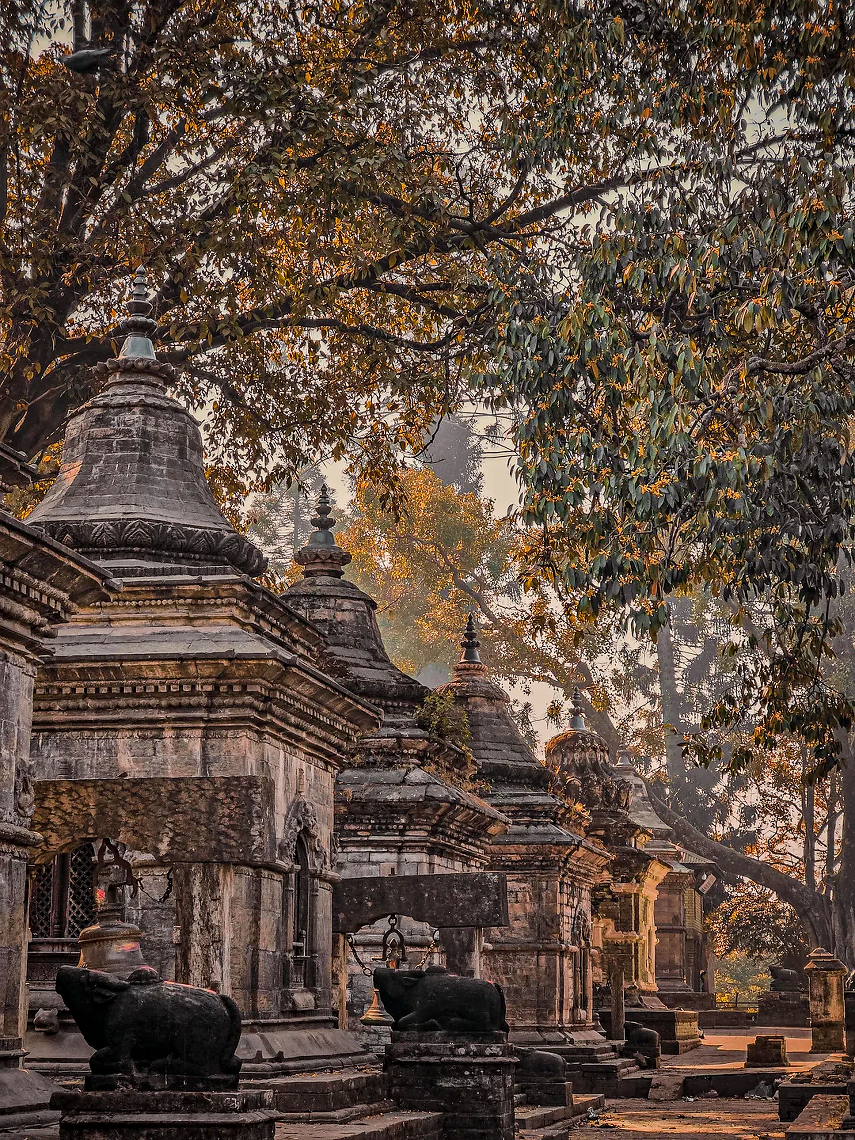 Twilight Devotion at Pashupatinath