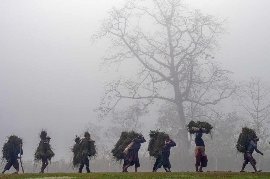 Villagers carrying bundles of harvested grass across open fields through morning mist and silhouette trees in southern Nepal